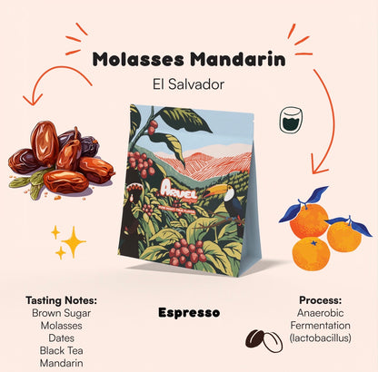 Molasses Mandarin – El Salvador