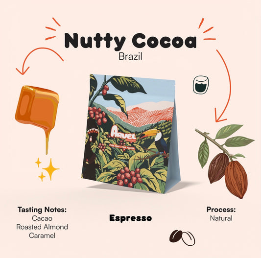 Nutty Cocoa – Brazil