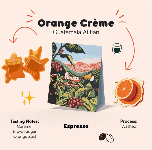 Orange Crème – Guatemala Atitlán